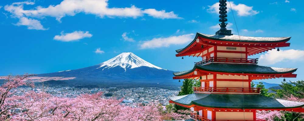 Pengiriman Indonesia ke Jepang yang Profesional untuk Bisnis